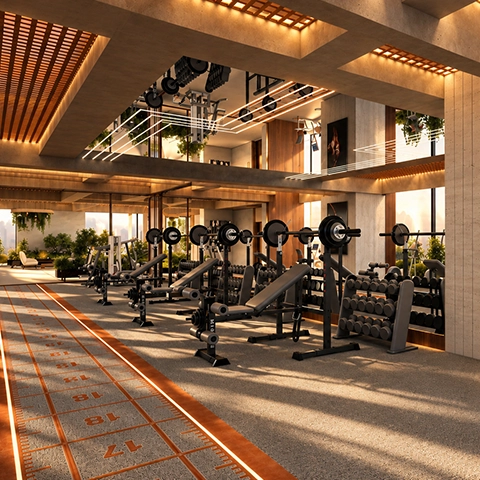 Gym / Fitness